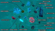 RawMaterialsPoster.png