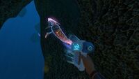 The Scanner scanning a Boneshark
