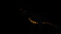 Bioluminescence