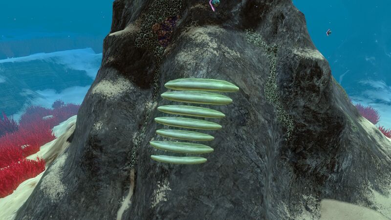 File:SlantedShellPlate01.jpg