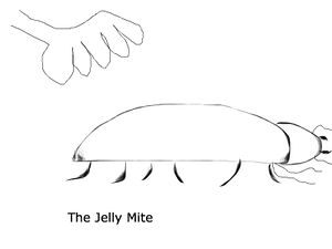 The Jelly Mite.jpg