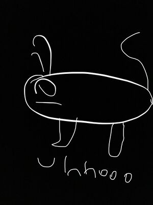 94D0D54C-06F1-4D92-81E4-AA232DFC47BC.jpeg