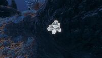 Aluminum Oxide Crystal in Grand Reef