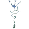 Blood Kelp Flora.png