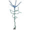 Blood Kelp Flora.png