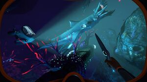 Bzsteamstore9.jpg