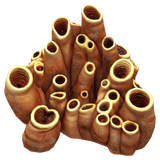 Earthen Coral Tubes.png