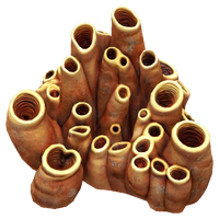 Earthen Coral Tubes.png