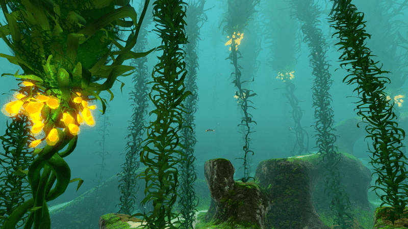File:Kelp Forest (27).gif