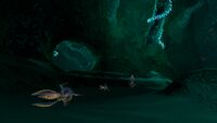 Shuttlebugs in the Mushroom Forest Caves