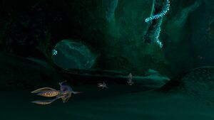 Mushroom Forest Caves (11).jpg