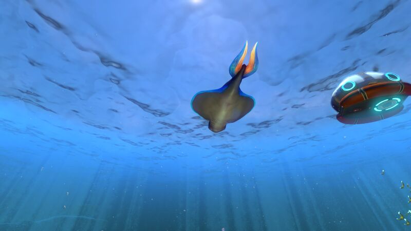 File:Rabbitray (3).jpg