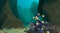 Another view into the Sparse Reef caves