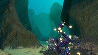 A view inside one of the Sparse Reef's large fissures