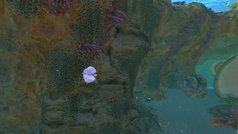File:BladderfishGallery.png