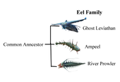 Eel family.png