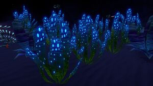 SpottedDockleafDay.jpg