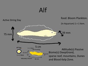 Alf Concept 2.jpg