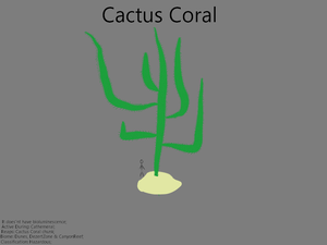 CactusCoralConcept.png