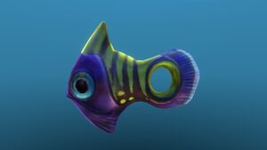Holefish 10.jpg