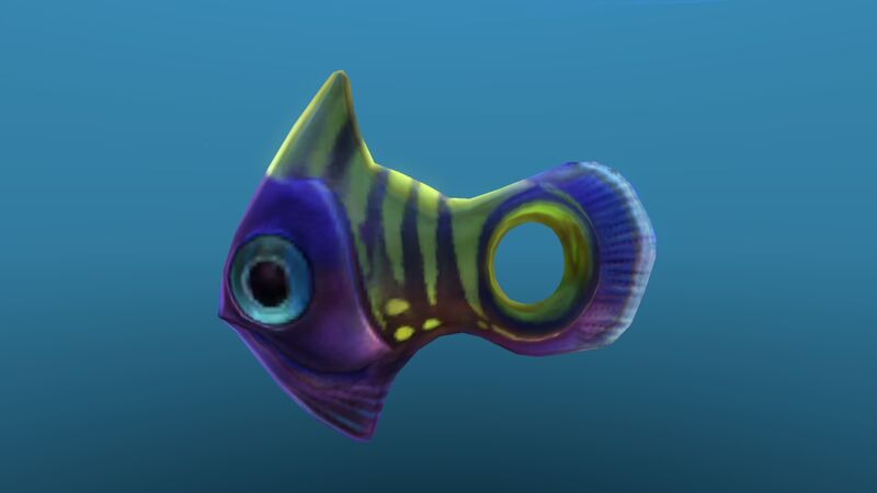 File:Holefish 10.jpg