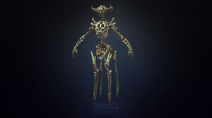 SkeletonModel.jpeg