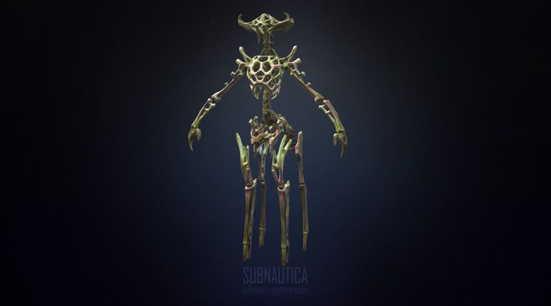 File:SkeletonModel.jpeg