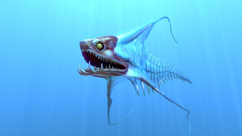 File:SpineEelFace.jpg
