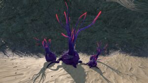 TentaclePlantNofog.jpg