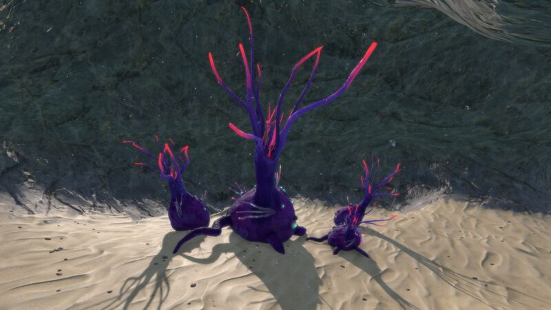 File:TentaclePlantNofog.jpg