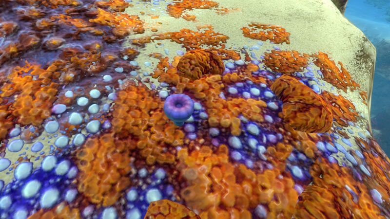 File:AcidMushroomSmallSmall.jpg