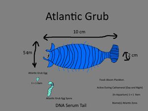 Atlantic Grub Concept.jpg