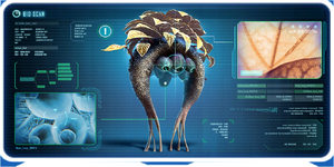 Fruit plant frame.png