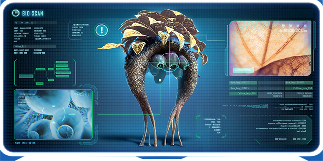 Fruit plant frame.png