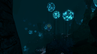 A Crabsquid in the Deep Grand Reef