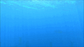 Thumbnail for version as of 11:24, 12 March 2017