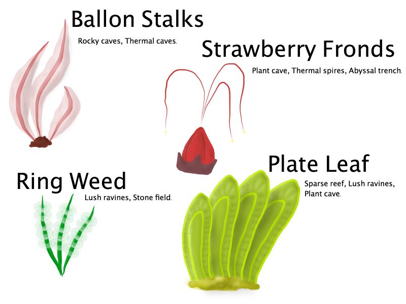 File:Small NH Plant Sheet.jpg