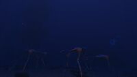 A group of Sea Treaders on the path.