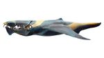 Brute Shark Fauna.png