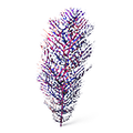 Thumbnail for version as of 21:58, 6 August 2021