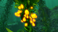 Creepvines with glowing seed clusters in the Kelp Forest