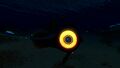 Bioluminescence