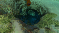 An entrance to the Safe Shallows Caves