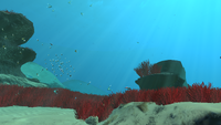 Another view of the biome
