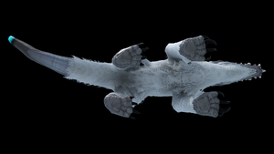 Snowstalker Ventral View.png
