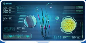 Tape Plant Ency.png