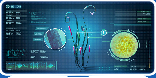 Tape Plant Ency.png