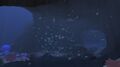 Bonesharks wandering near the Koosh Zone Caves' entrance