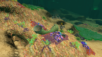 The only Giant Coral Tube in the Aquarium