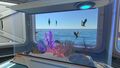 Aquarium with some edible fauna inside